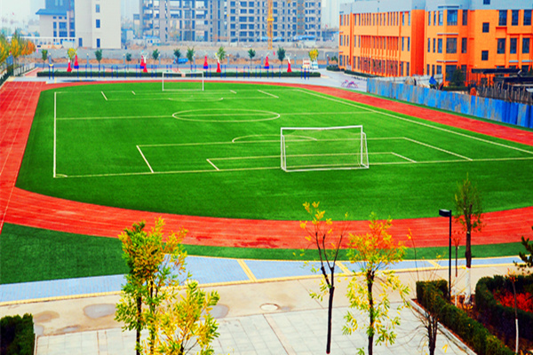 运动会的主办单位:榆林市高新一中 报项服务电话:15929050663